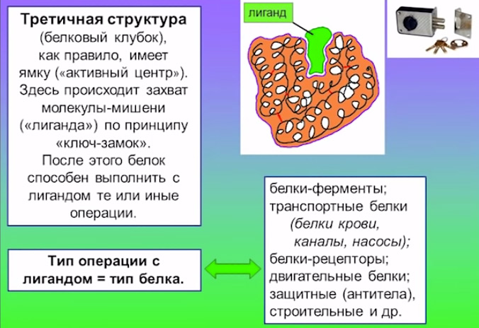 3-structura