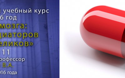 11. Дубынин Вячеслав — Мозг и алкоголь. Курс Химия мозга.