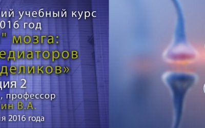 2. Дубынин Вячеслав — Электрические процессы в мозге. Курс «Химия мозга». Часть 2 из 2.