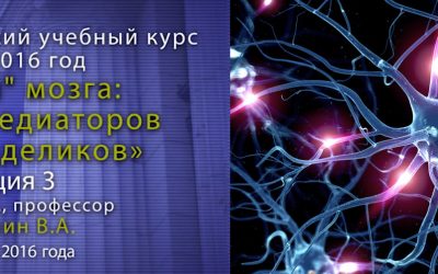 3. Дубынин Вячеслав — Что такое синапс. Нейромедиаторы мозга. Курс «Химия мозга». Часть 2 из 2..