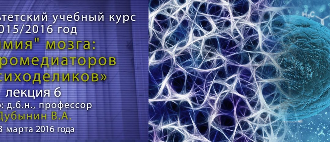 6. Дубынин Вячеслав — Мозг: Глутамат и ГАМК. Эпилепсия, транквилизаторы.