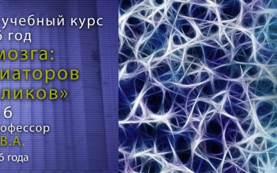 6. Дубынин Вячеслав — Мозг: Глутамат и ГАМК. Эпилепсия, транквилизаторы.