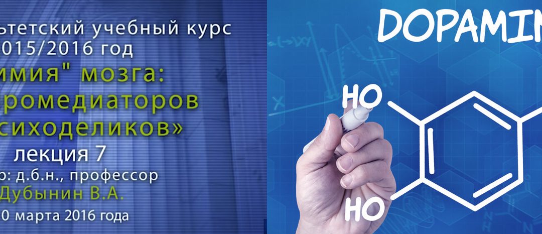 7. Дубынин Вячеслав — Мозг и дофамин. Нейролептики и амфетамины. Курс Химия мозга.