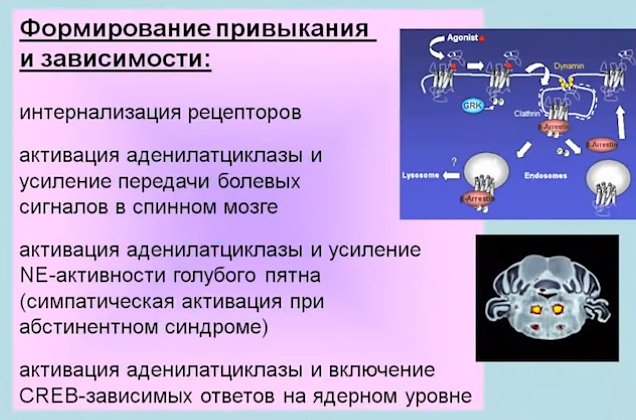 10_29