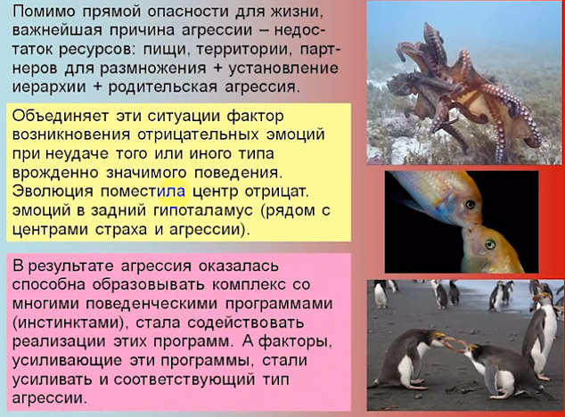 8_20