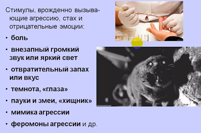 8_3