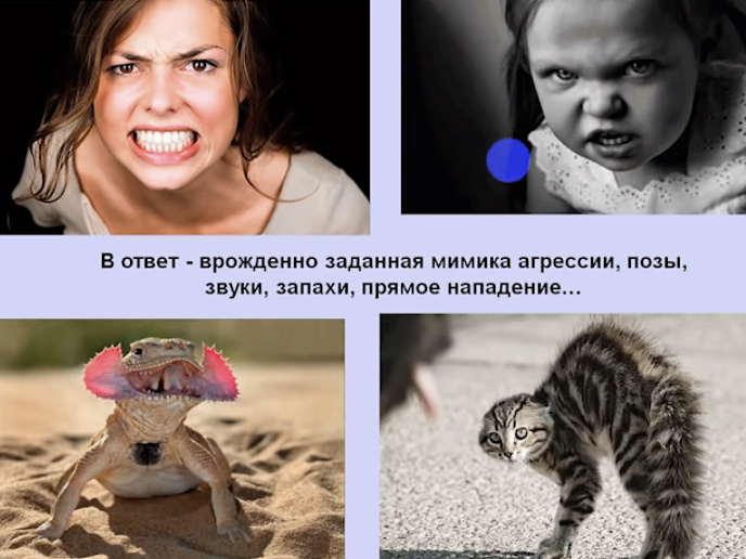 8_4