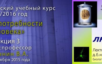 Дубынин Вячеслав — Мозг и новая информация. Лекция 3.