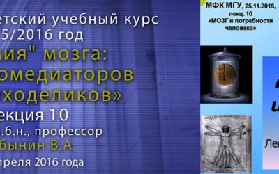 Дубынин Вячеслав. Мозг и гомеостаз. Лекция 10.
