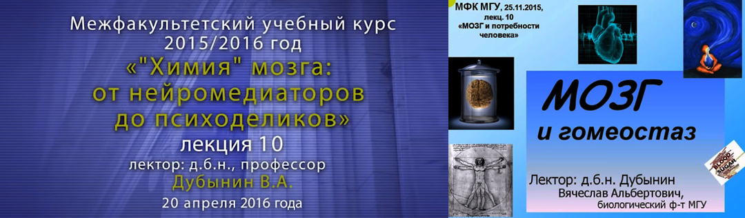 Дубынин Вячеслав. Мозг и гомеостаз. Лекция 10.