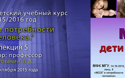 Дубынин Вячеслав — Мозг: дети и родители. Лекция 5.