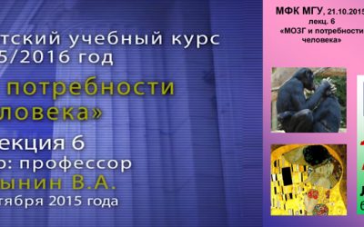 Дубынин Вячеслав — Мозг: любовь, секс, привязанность. Лекция 6.