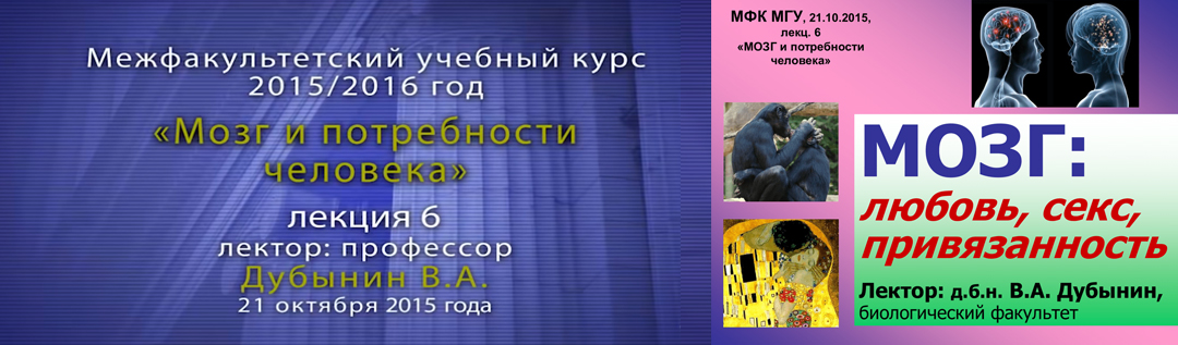 Дубынин Вячеслав — Мозг: любовь, секс, привязанность. Лекция 6.