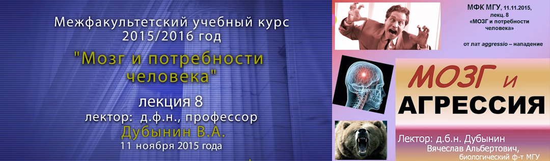 Дубынин Вячеслав — Мозг и агрессия (борьба за существование и ресурсы). Лекция 8.
