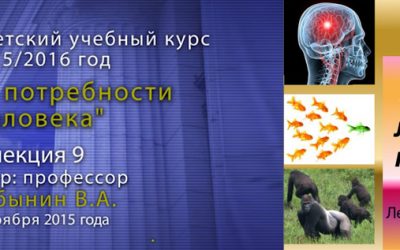 Дубынин Вячеслав — Мозг: лидеры и подчинённые. Лекция 9.