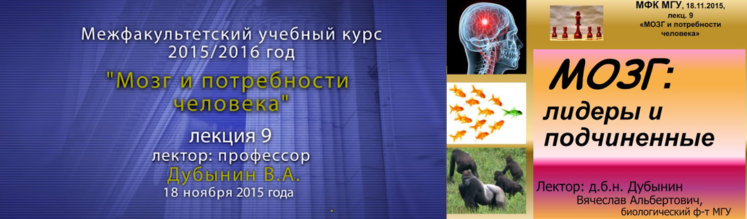 Дубынин Вячеслав — Мозг: лидеры и подчинённые. Лекция 9.