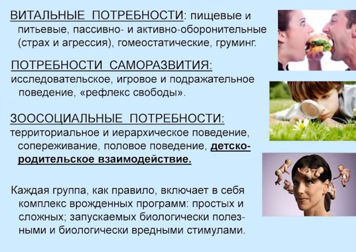 А5_2