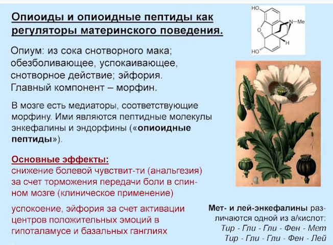 А5_25