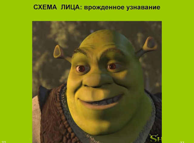 А5_33