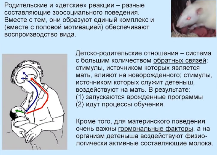 А5_4