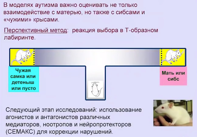 А5_40