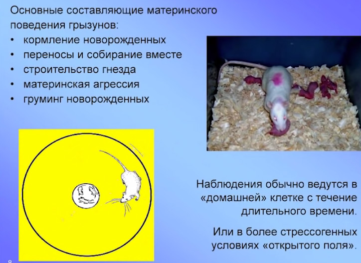 А5_6