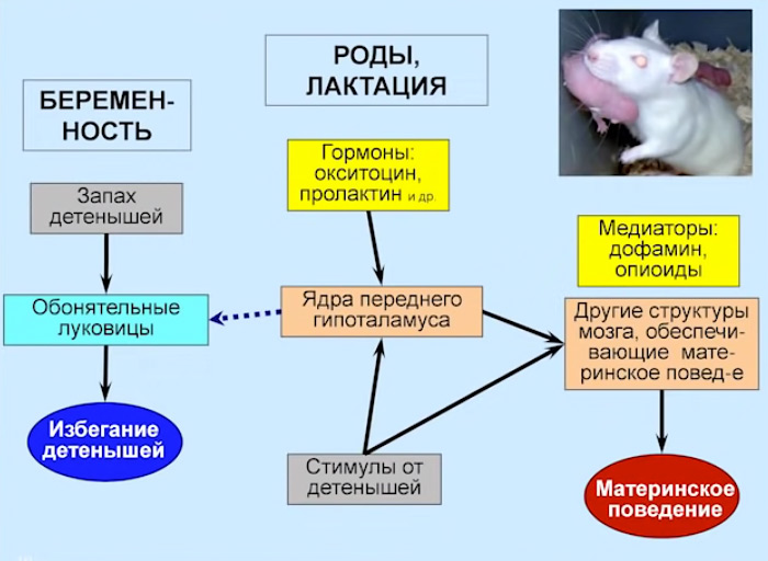 А5_8