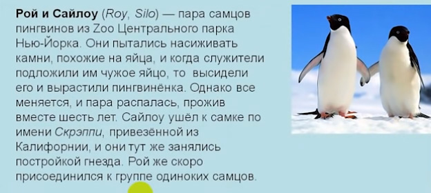 А6_2