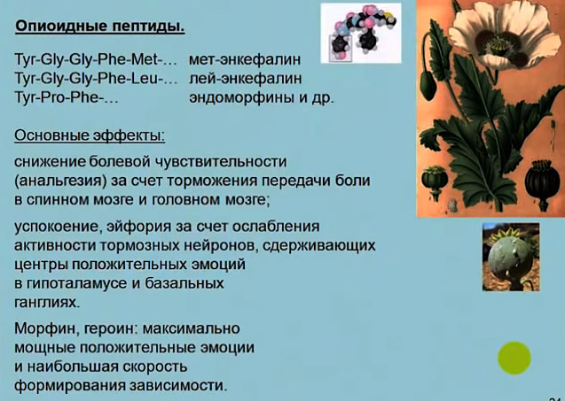 А6_24
