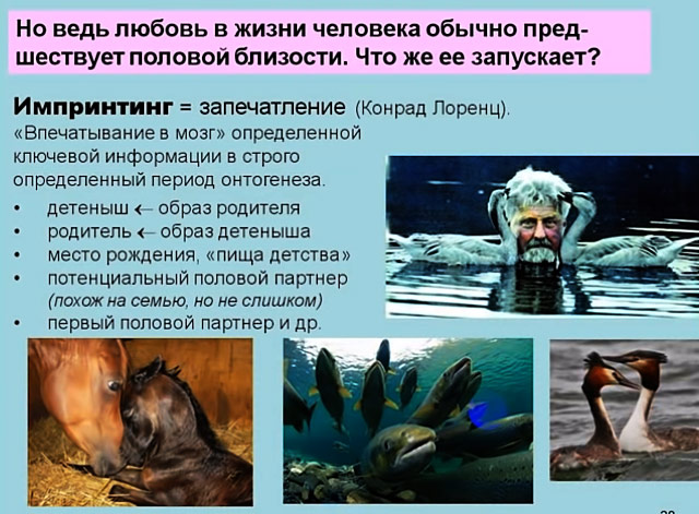 А6_28