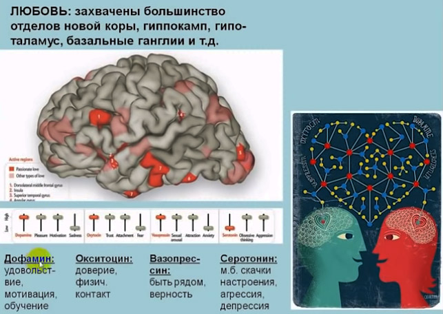 А6_32