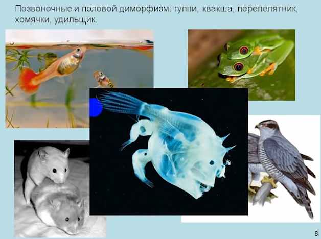 А6_7