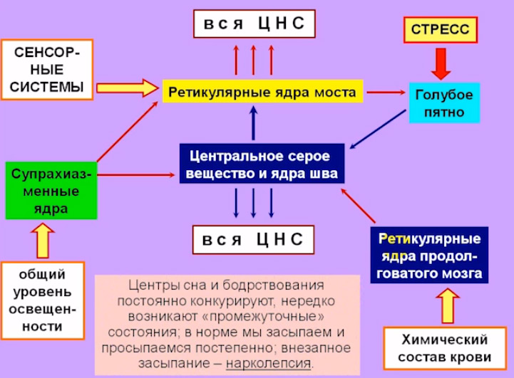 A11_12