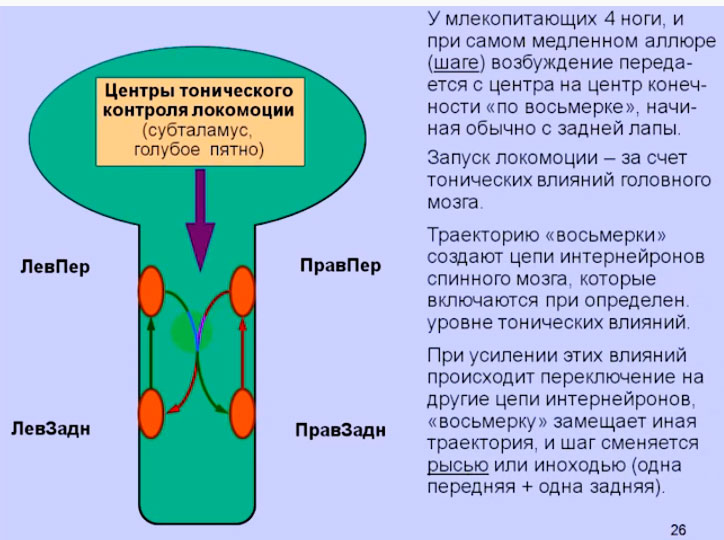 A11_22