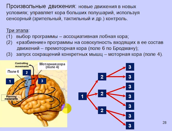 A11_24