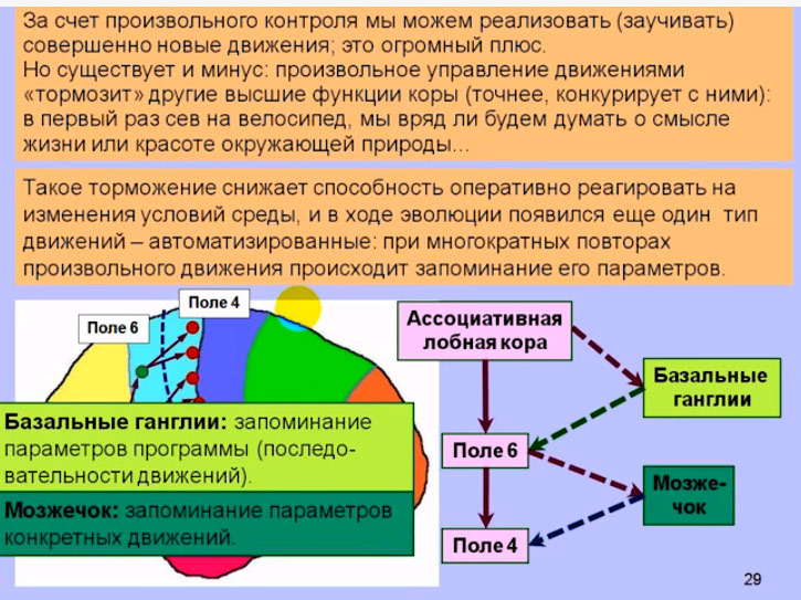 A11_26