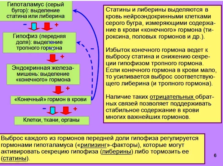 A11_4