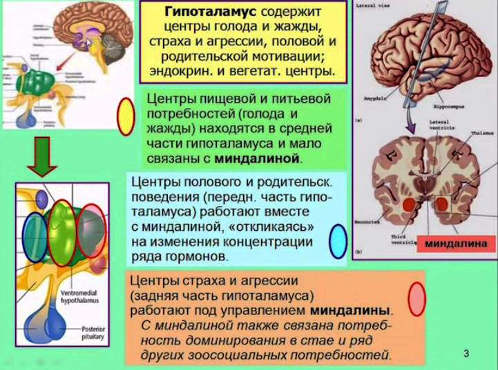 A12_2