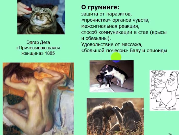 A12_21