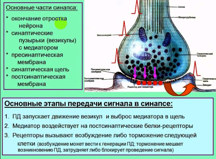 A12_4