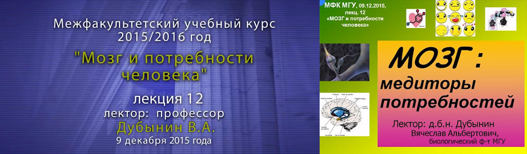 Дубынин Вячеслав. Мозг и потребности человека. Лекция 11.