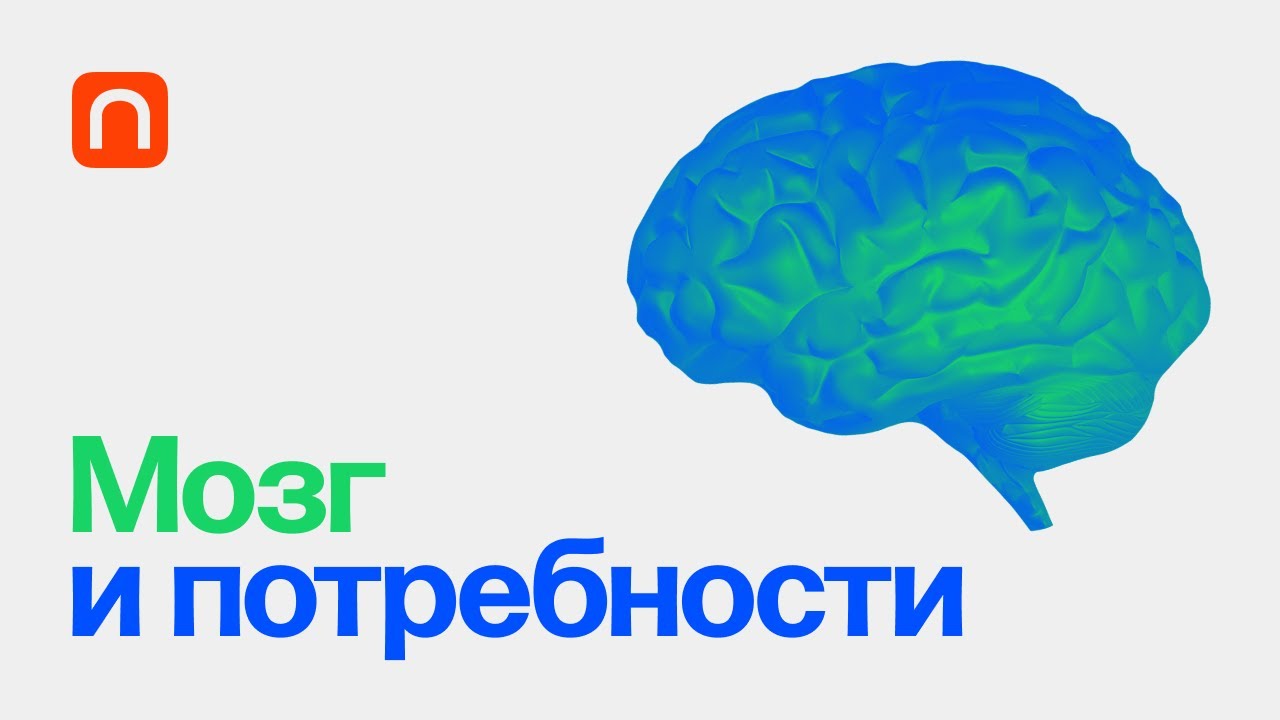 С4_13