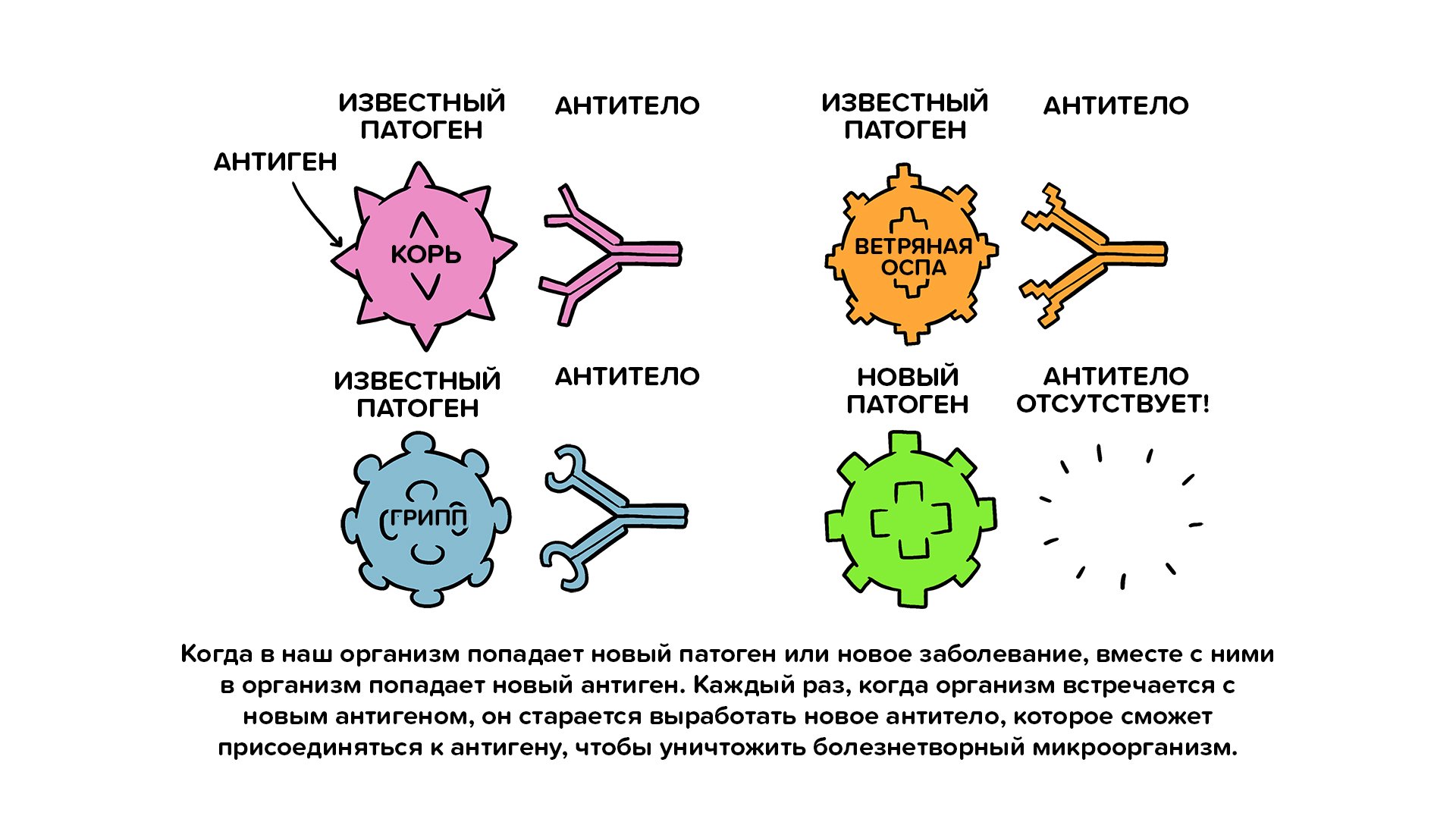 С4_5