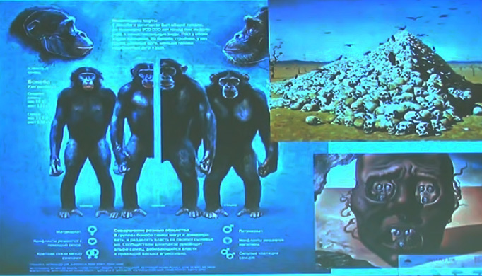 C11_20