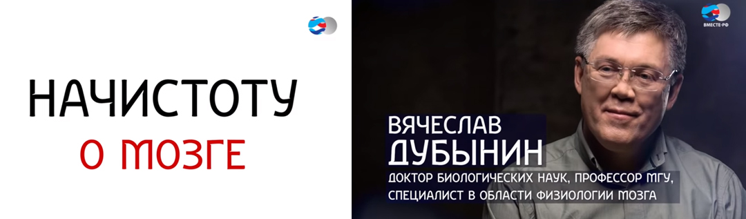 Вячеслав Дубынин. О мозге начистоту.