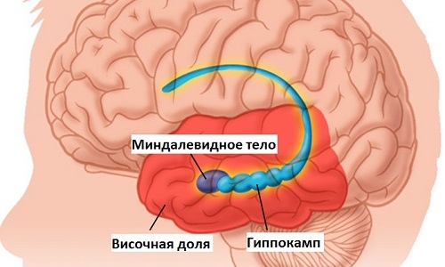 С13_10