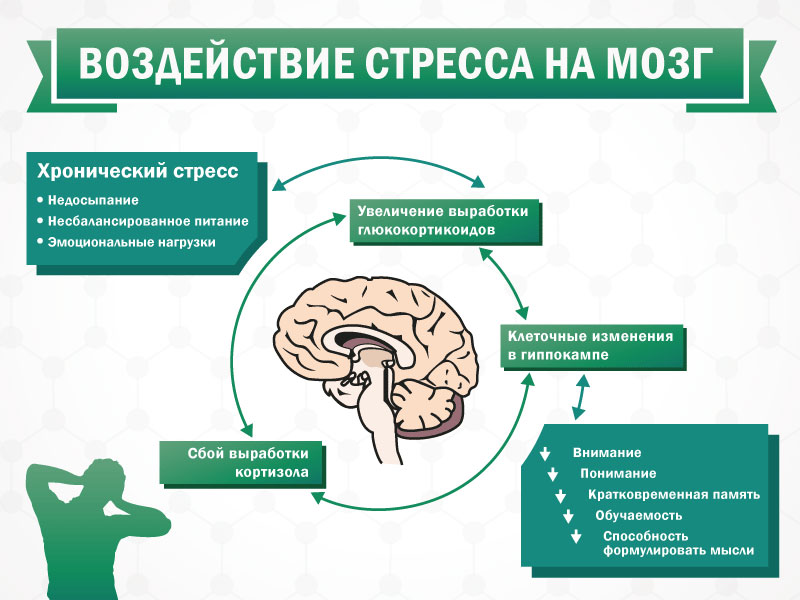 С13_5