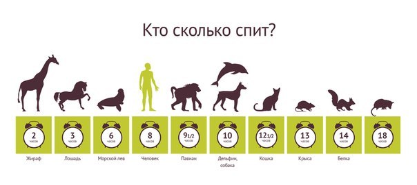 С13_9