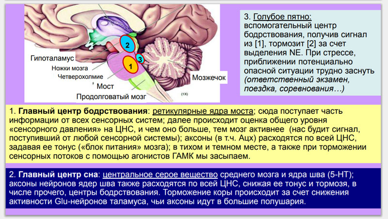 С14_2