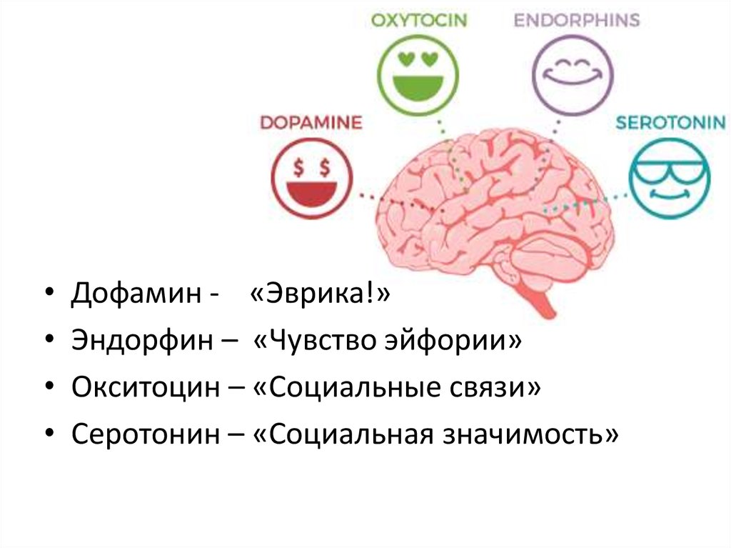 С14_7